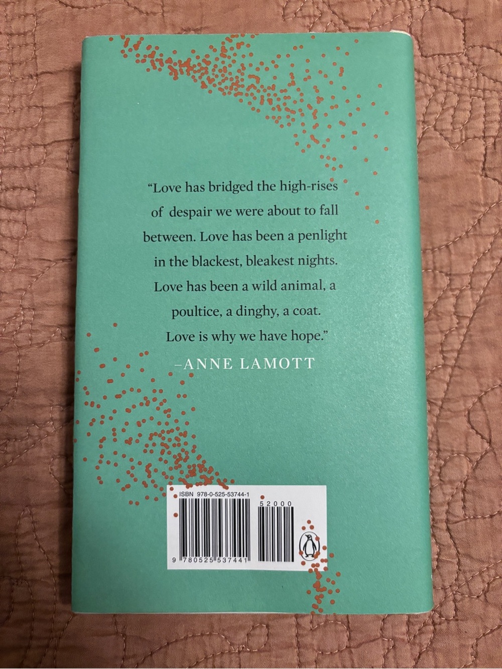 Almost Everything: Notes on Hope by Anne Lamott - Hardcover - Picture 3 of 3